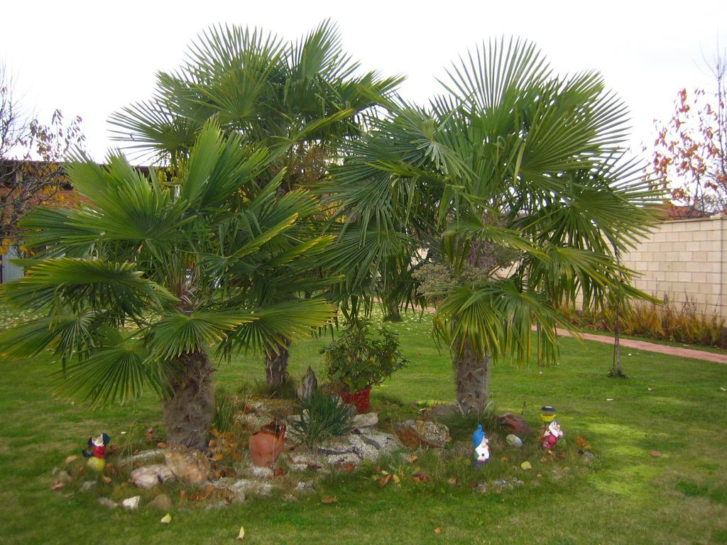 Casa Constanza Villa Vega de Infanzones Dış mekan fotoğraf