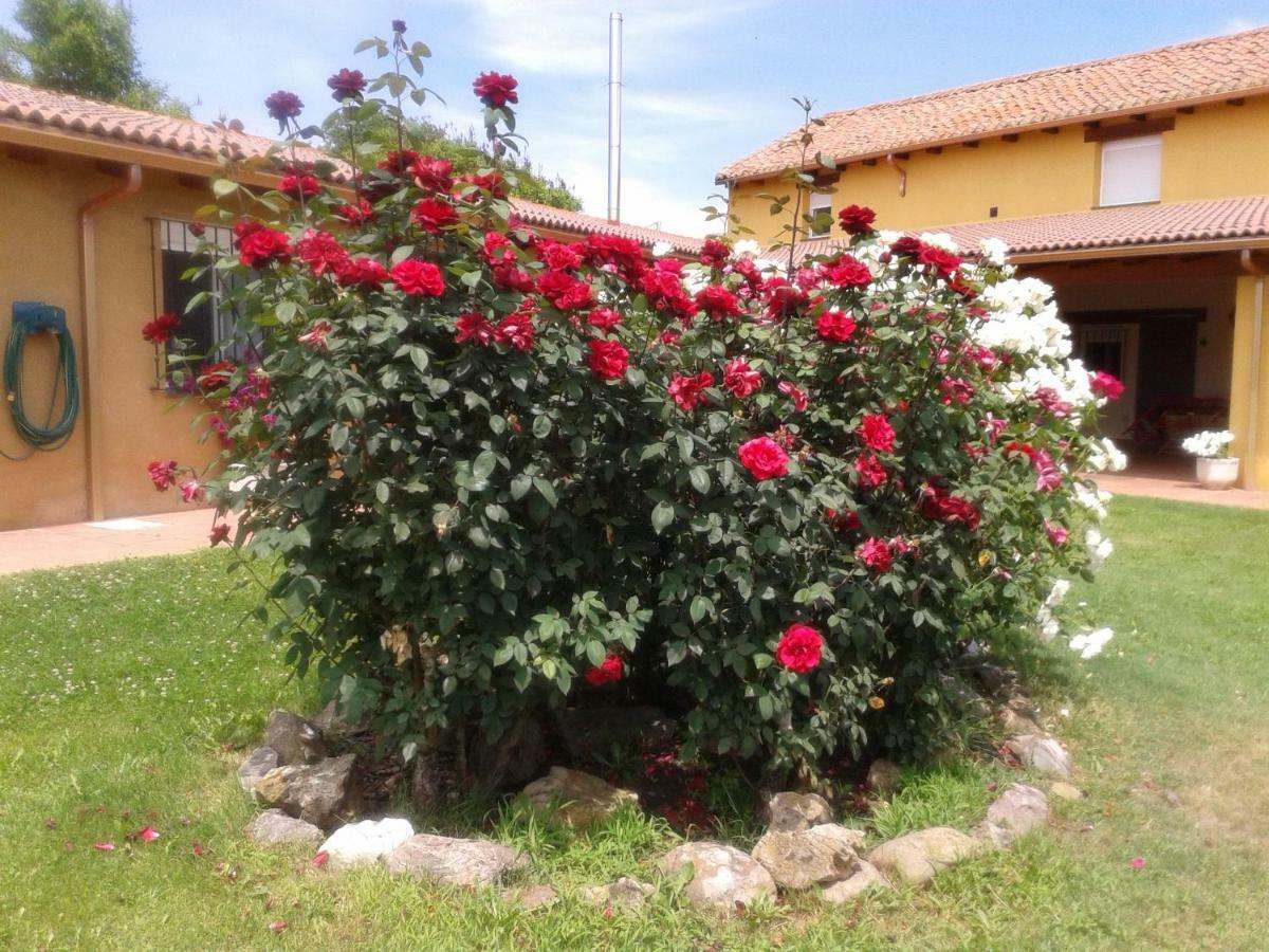 Casa Constanza Villa Vega de Infanzones Dış mekan fotoğraf